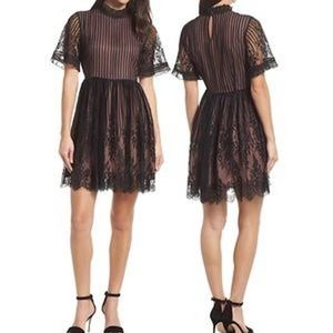 Chelsea28 Black Lace Mini Dress